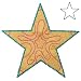 Accuquilt Go 5 Point Star Sarah Vedeler Cutting Die 55310