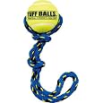 Petsport Fling Thing (Colors May Vary)