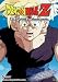 Dragon Ball Z - Cell Games - Awakening