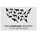 Humane Society car bumper sticker 5" x 4"