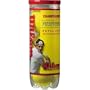 Wilson Championship Extra Duty Tennis Balls (Case) - T1001