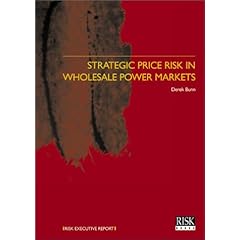 Strategic Price Risk in the Wholesale Power Markets