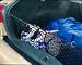 Ford Focus Cargo Retention Net - Years:2000-2007