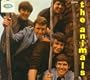 The Animals