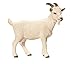 Schleich Domestic Goat Toy Figure
