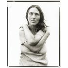 Richard Avedon Portraits by  Maria Morris Hambourg, Mia Fineman, Richard Avedon, and Philippe de Montebello