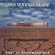 Over Gondwanaland