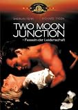 Two Moon Junction - Sherilyn Fenn