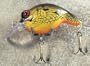 JLVLures Shallow Crankbait Perch : Diver Lures JLV Freshwater Smallmouth Steelhead Pike Salmon Trout Perch Whiper Mid Depth Walleye Casting Bass Hook Treble Bronze Boat Dock Brook Bay Little Stump River Trolling Weed Surface Topwater Shad