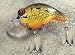 Sporting Goods : JLVLures Shallow Crankbait Perch : Diver Lures JLV Freshwater Smallmouth Steelhead Pike Salmon Trout Perch Whiper Mid Depth Walleye Casting Bass Hook Treble Bronze Boat Dock Brook Bay Little Stump River Trolling Weed Surface Topwater Shad