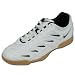 NIKE ナイキ BAQUE ベッキ フットサルシューズ 316367 102 ホワイト/ブラック/メタリックシルバ