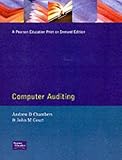 Computer auditing