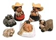 Ceramic nativity scene, 'First Christmas' (set of 6)