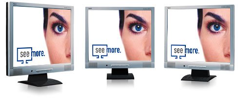 Childrens Toyshop  Computer : NEC AccuSync LCD92VM - Flat panel display - TFT - 19" - 1280 x 1024 - 0.294 mm - VGA (HD-15) - black, silver