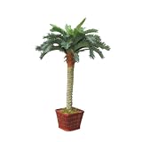 Island Silk Breezy Palm Tree