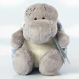 Carte Blanche ME TO YOU - MY BLUE NOSE FRIENDS - SHELLEY THE TURTLE