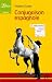 Conjugaison espagnole