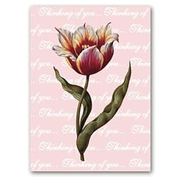 Thinking of You with Tulipa 30 - 5" x 7" Vellum Overlay Greeting Card