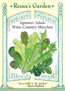 Lettuce - Wine Country Mesclun Mix Seeds