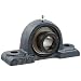 FYH NAPK205 Pillow Block Mounted Bearing, 2 Bolt, 25mm Inside Diameter, Eccentric Lock, Cast Iron, Metric