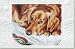 golden retriever - Golden Retriever Boxed Christmas Cards - 16 Cards & 17 Envelopes