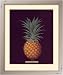 Pineapple framed art print by George Brookshaw