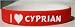 I Love Cyprian Custom Wristband