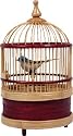 Singing Bird Cage