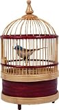 Singing Bird Cage
