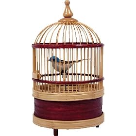 Singing Bird Cage