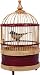 Singing Bird Cage