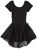 Capezio Girls 2-6x Short Sleeve Nylon Dress