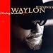 Discover the genius that is WAYLON JENNINGS...