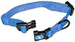 Hamilton "Fits All" 3/8" Adjustable Nylon Dog Collar, Berry, X-Small (7-12 in)