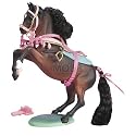 Grand Champions Arabian Stallion