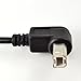 USB 2.0 B Female to Down 90 Angle B Male Printer Short Extension Cable Adapter