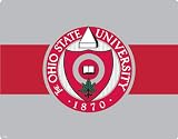 Ohio State University Red and Gray skin for Kinect for Xbox360