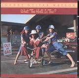 Review Johnny 'Guitar' Watson  / What the Hell Is This