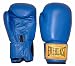 Sports : Everlast Boxhandschuh "Sugar", Leder, blau