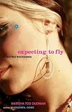 Expecting to Fly : A Sixties Reckoning