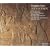 Arne: Artaxerxes (English Orpheus Vol 33) /Robson � Partridge � Spence � Edgar-Wilson � Bott � Hyde � Parley of Instruments � Goodman