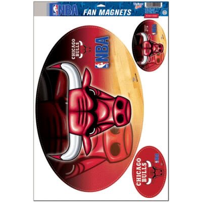 Chicago Bulls 11x17 Car Magnet
