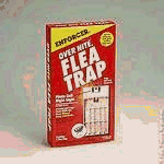 Pet Supplies : Zep #ONFT-1 Overnite Flea Trap