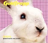 Review Goldfrapp  / Utopia