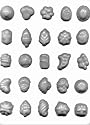 Flowers, Fruit, Nut Hard Candy Mold [Kitchen] [Kitchen]
