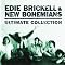 Edie Brickell In Review
