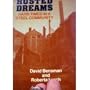Rusted Dreams: Hard Times in a Steel Community