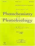 Journal of Photochemistry and Photobiology : B Biology