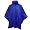 New York Giants