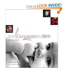 From Conception to Birth: A Life Unfolds